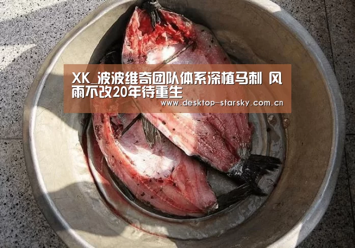 XK_波波维奇团队体系深植马刺 风雨不改20年待重生