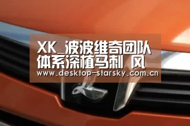 XK_波波维奇团队体系深植马刺 风雨不改20年待重生(图4)